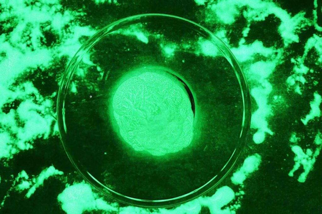 photoluminescent pigment glow in the dark